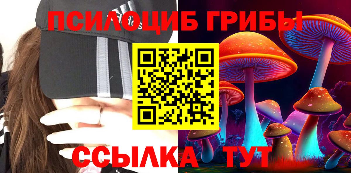 закладки  Вход с VPN  Галлюциногенные грибы Cubensis  Выборг  Галлюциногенные грибы Cubensis 